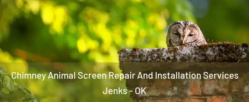 Chimney Animal Screen Repair And Installation Services Jenks - OK