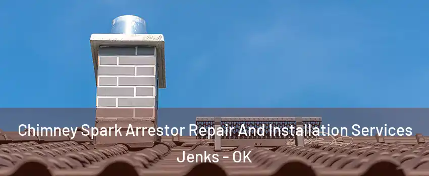 Chimney Spark Arrestor Repair And Installation Services Jenks - OK